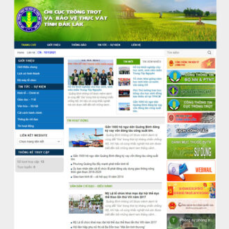 Mẫu website nhà nước 03